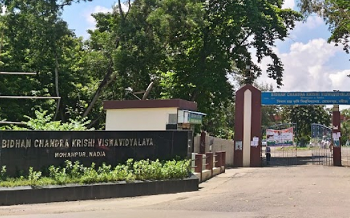 BCKV Admission